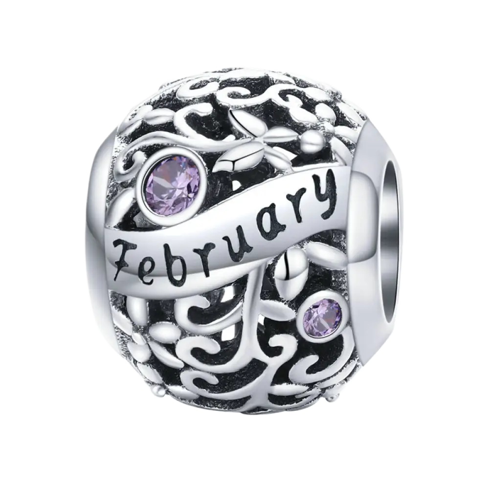 S925 Sterling Silver Birthstone Beads - 12 Month Zirconia Charm Loose Beads for DIY Bracelets - February / 925 Silver